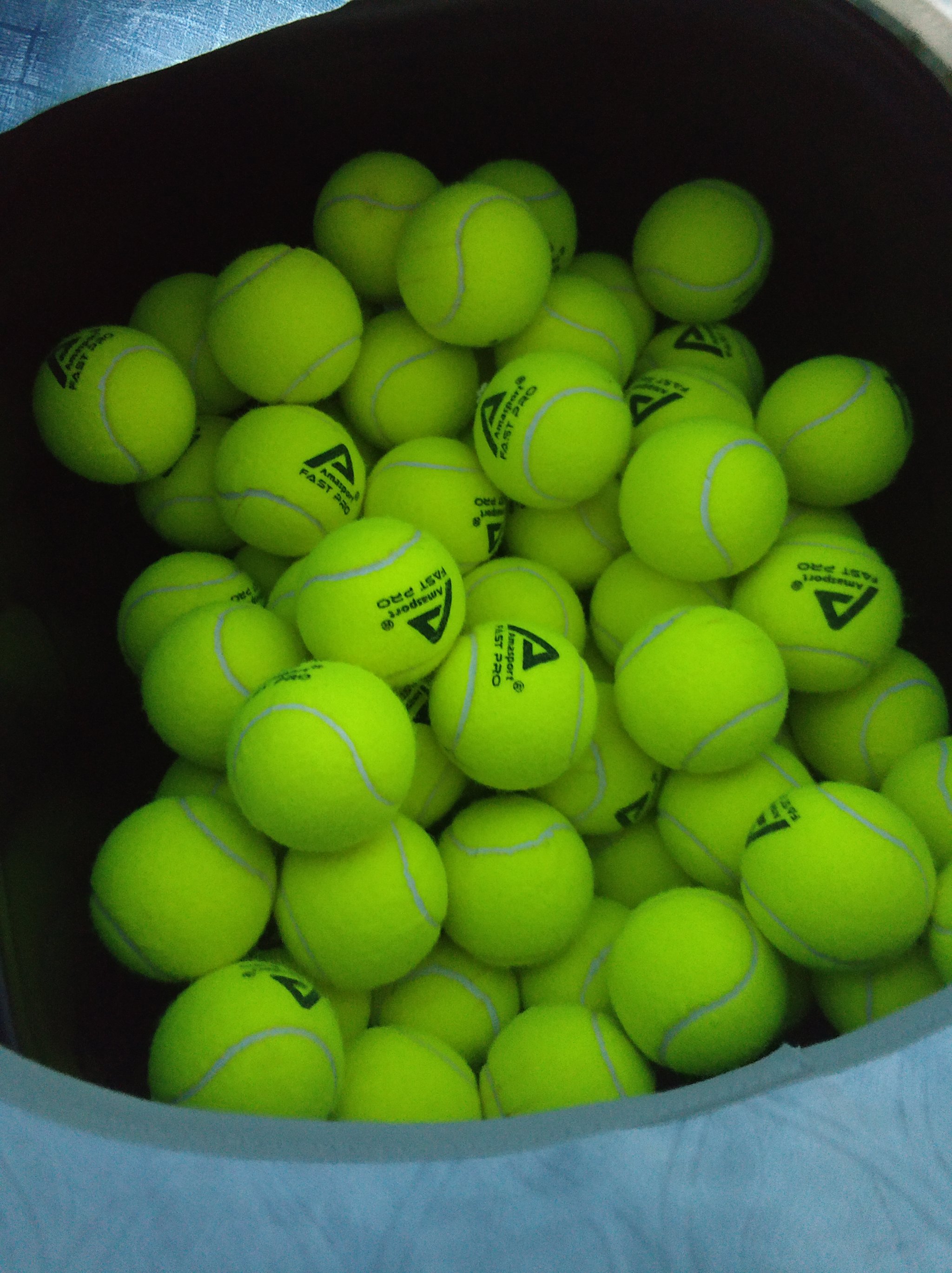 热血沸腾的 热血沸腾的