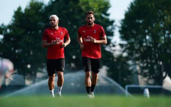 逐步形成了 逐步形成了